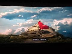 -武商摩尔影城(国广IMAX激光店)