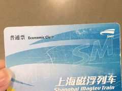 -龙阳路磁悬浮列车总站-停车场