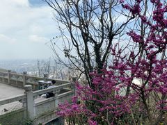 -杭州半山国家森林公园