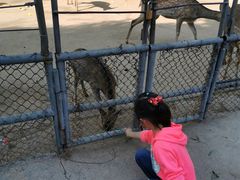 -祥源·阜阳生态乐园