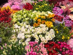 -双季花艺园艺市场(浦东店)