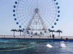 -秦皇岛乐岛海洋王国