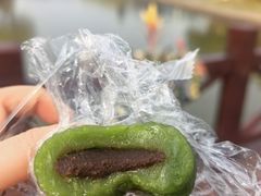 -上海鲜花港
