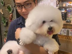 -more than meow吴止猫主题餐厅(承德 中船汇店)