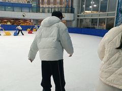 -世界之窗阿尔卑斯冰雪世界