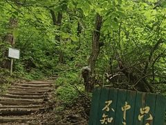 -龙道沟景区