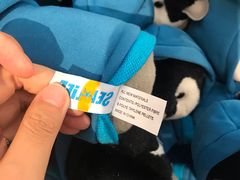 -悉尼海洋生物水族馆