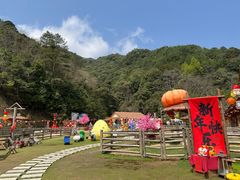 -龙岩森林水乡景区