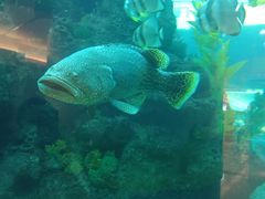 -鸿通城购物中心