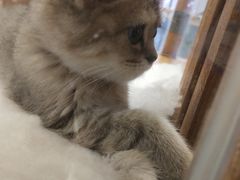 -龟与熊猫宠物公园(南坪店)