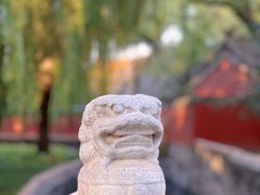 -故宫博物院(故宫)