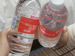 -上海龙之梦万丽酒店