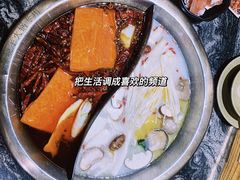 -渝味晓宇火锅(合川路店)
