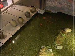 -几荷·恰似故人来(秀水广场店)