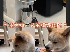 -YCHL Studios健身工作室(市二宫店)
