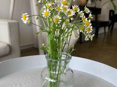 -Hello·生日蛋糕·下午茶·甜品台茶歇(瑞安东山店)