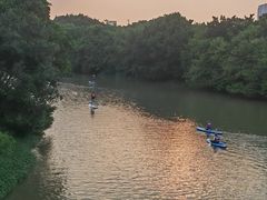 -海珠湖公园
