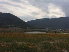 iphone_upload_pic-亚龙湾国际玫瑰谷