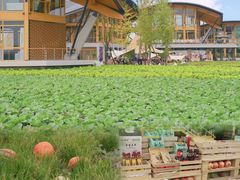 -中国天府农业博览园