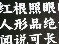 -遇东北林区铁锅炖(南开店)
