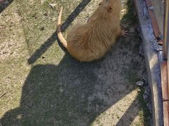 -长兴太湖图影湿地文化园