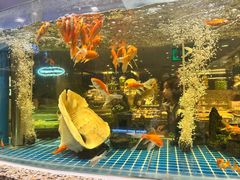 -初色海鲜自助(万丰路店)