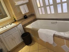 -平湖九龙山庄园圣马可酒店