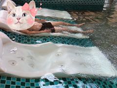 -汤泊温泉度假村