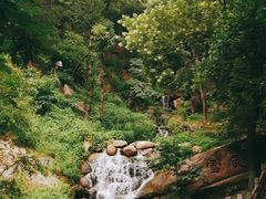 -天津盘山风景名胜区