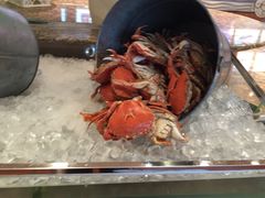 -咖啡苑·沈阳今旅酒店Hotel Jen·香格里拉集团