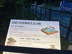 -杨梅坑