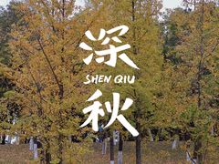 -重庆中央公园(渝北区)