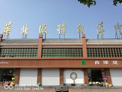 -白洋淀景区