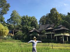 -清迈四季度假酒店Khao餐厅