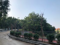 -三水森林公园