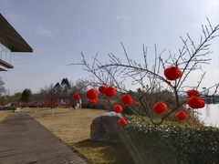 -云里小坐·海泉湾·团建·宴席·下午茶(金堂海泉湾店)