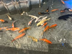 -新沸腾鱼乡(世贸天阶店)