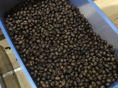 -巴厘岛黄金金兔咖啡工厂
