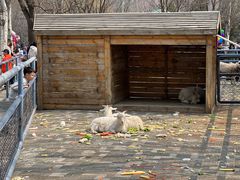 -长白岛森林公园