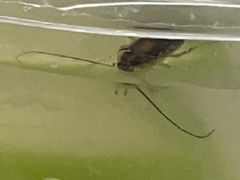 -1点点(曹杨路店)