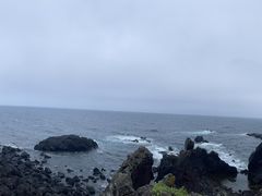-涉地可支