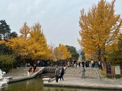 -晋祠公园