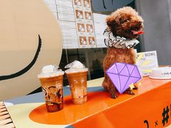 -Seesaw Coffee(上生新所店)