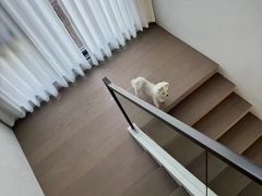 -仲盛世界商城