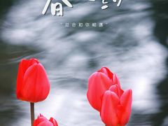 -徐家汇公园