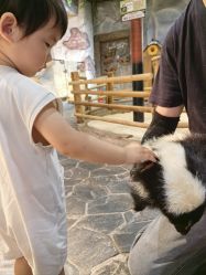 -Zoolung Zoolung动物主题公园(海信广场店)