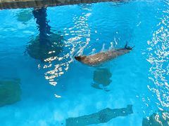 -香港海洋公园