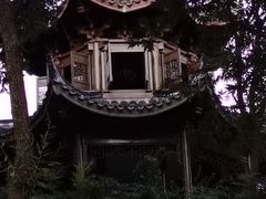 -上海市保健医疗中心