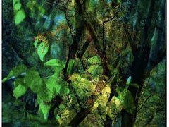 -三圣花乡旅游区