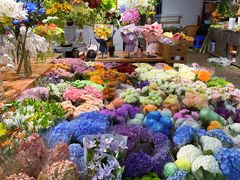 -双季花艺园艺市场(浦东店)